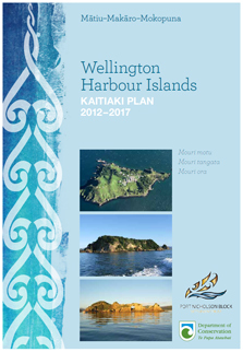 Wellington Harbour Plan cover page.