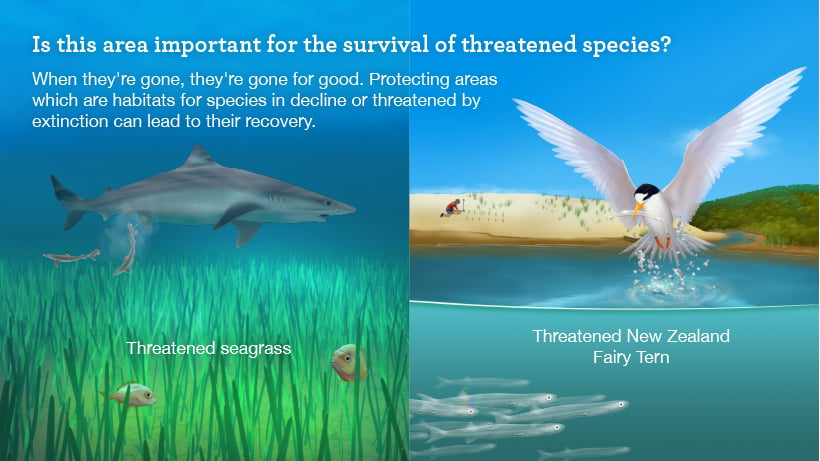 threatened-species and habitats.jpg