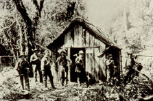 The original Beech hut, Milford Track. Photo: Hocken Library. 