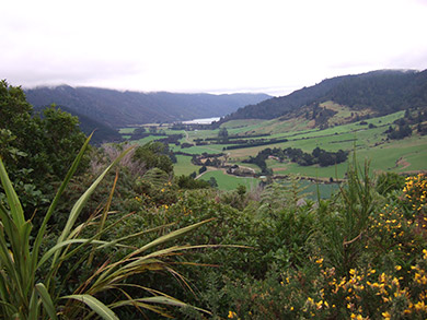 View from the Queen Charlotte Track. 