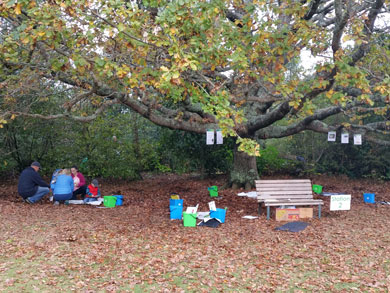 Kids Greening Taupō conservation event. 