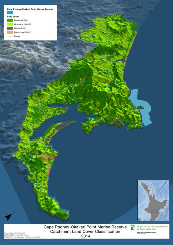 Land cover map. 