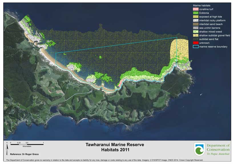 Tawharanui Marine Reserve habitats map. 