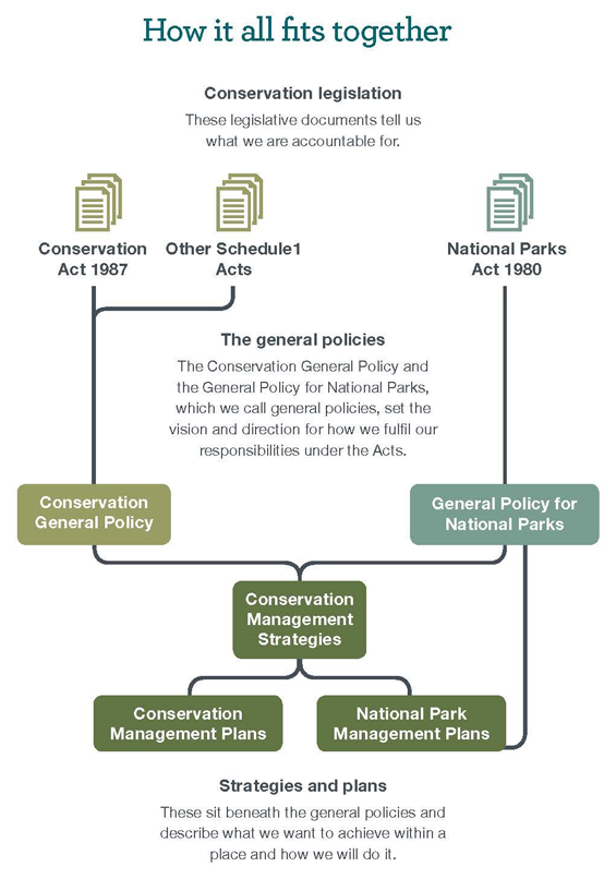 Diagram of how general policies and statutory plans fits together. 