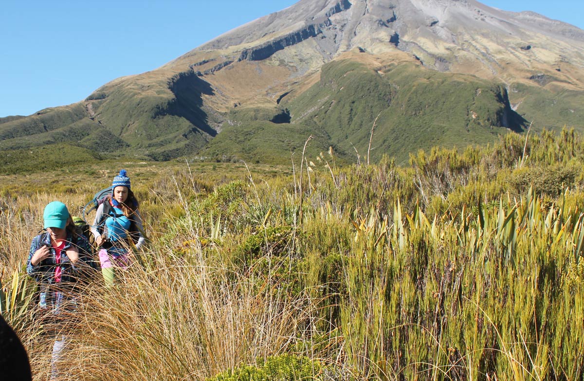 Pouakai Circuit Walking and tramping in Egmont National Park, Taranaki