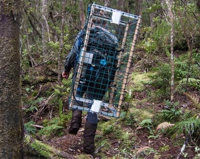 Smart trap being carried. 