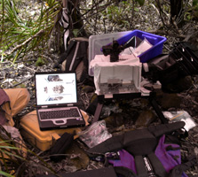 Photo stage in the field. Photo: DOC.