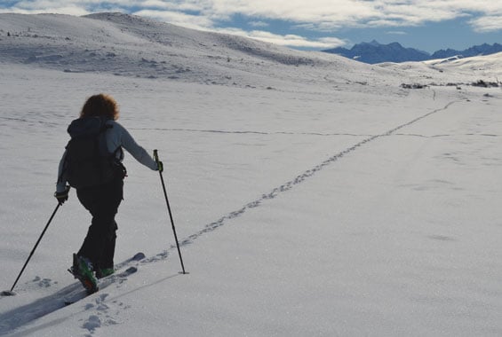 Winter travel to Landslip Creek. 