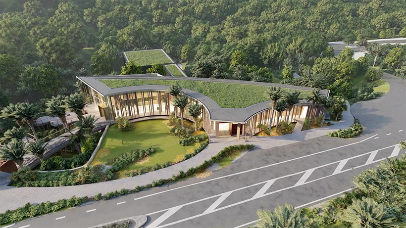 A rendered image of a building with a planted roof, surrounded by forest and nikau palm trees.
