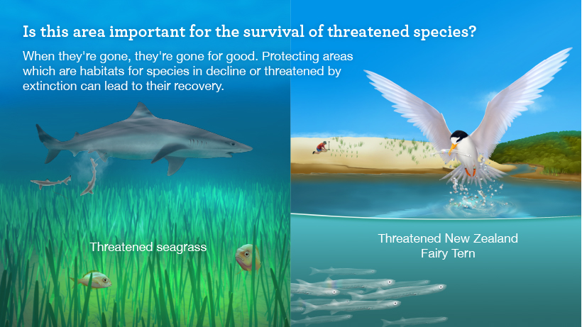 threatened-species and habitats.jpg