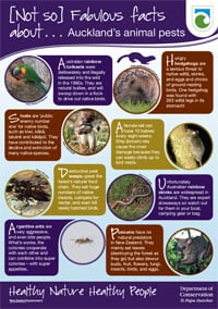 Poster: [Not so] fabulous facts about Auckland's animal pests. 