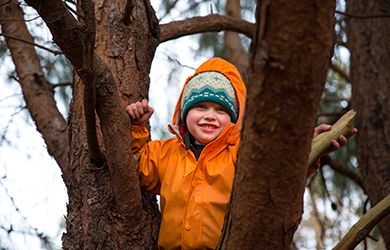 A child climbing a tree.
