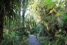 Willberg Walk.  Photo: K Henderson.