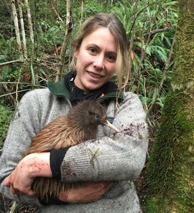 DOC staff holds 6 month-old Haast tokoeka. 