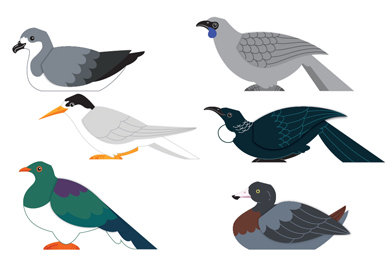 Bird illustration. 
