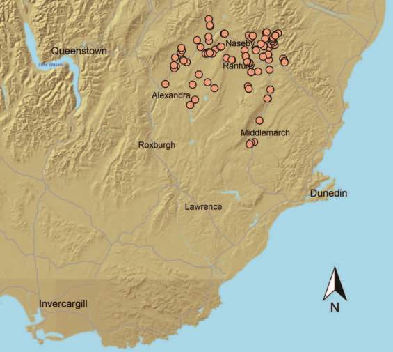Known locations of Central Otago roundhead galaxias, as at 2013.