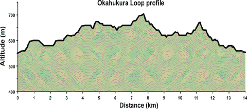 Graph showing the profile of Okahukura mountain bike track.