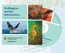 Wellington marine information CD.