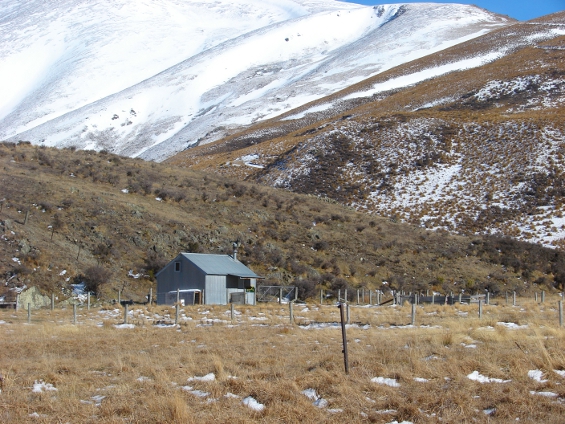 Boundary Creek Hut setting.