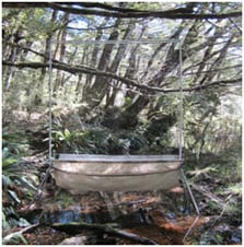Figure 1. Free standing harp trap at “pond site”.