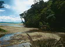 Papa Aroha, Coromandel Peninsula.