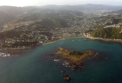 Island Bay and Taputeranga Island. 