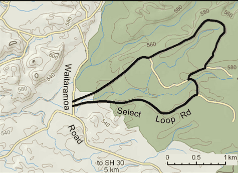 Select Loop Road map.