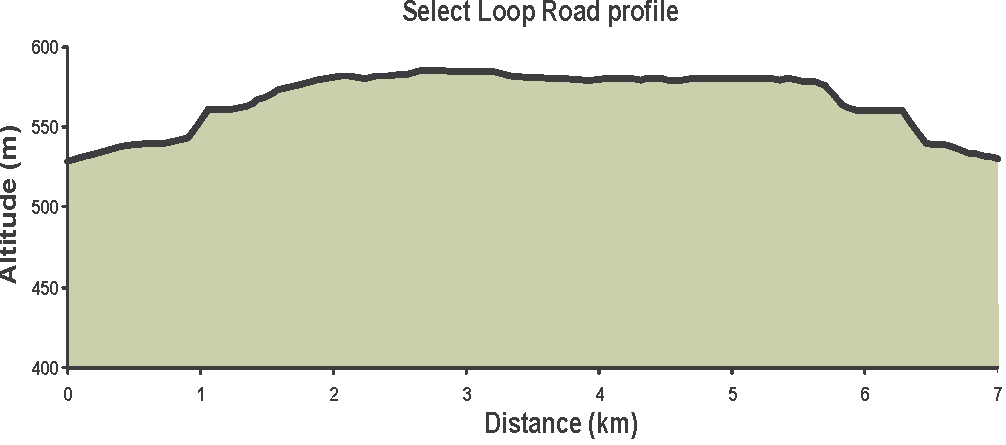 Select Loop Road profile.
