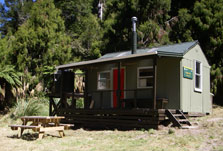 Skips Hut (Whangatawhia)