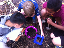 Students looking at invertebrates. 