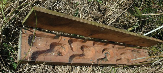 Luxury motel houses weta and gecko. Photo: DOC/Rosalind Cole. Luxury motel houses weta and gecko. Photo: DOC/Rosalind Cole.