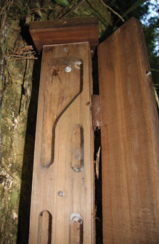 5 star weta motel. Photo: DOC/Adrienne Grant. 5 star weta motel. Photo: DOC/Adrienne Grant.