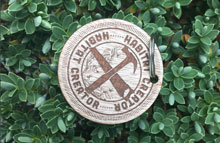 Kiwi Guardians medal for building a wētā motel. 