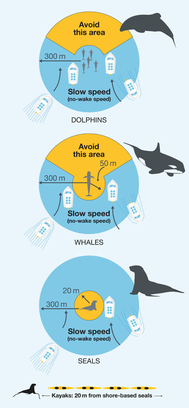 Image showing different species and the rules about approaching them.