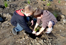 Children planting a tree. 