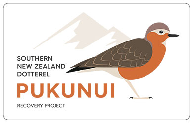 pukunui-logo-390.jpg