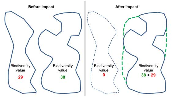 Figure 4: Simplified illustration of the goal of no net loss of biodiversity values. Values are lost due to the impact of the development and gained through management actions to improve the area and condition of the offset site.