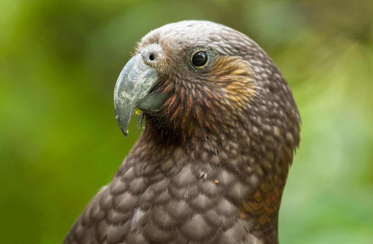 Science publications