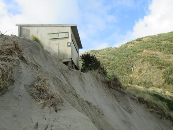 The Sandfly Bay viewing hide on the edge of a sand hill.