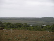 Extensive wetlands in the southern tablelands of the Chatham Islands. Photo: Nadine Bott.