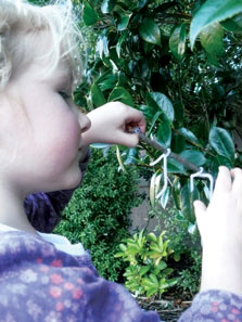 Making a stick insect to join the one found in the garden. Photo: Sarah Mankelow. 