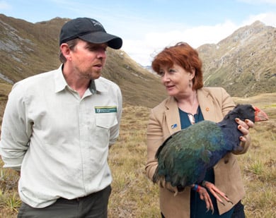 Minister Maggie Barry holding a takahe. 