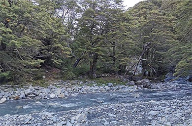 390 float right image.