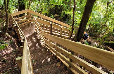 stairs-wairere-falls-track-390.jpg