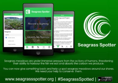 Seagrass spotter app. 