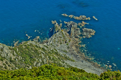 Kapiti cliff side