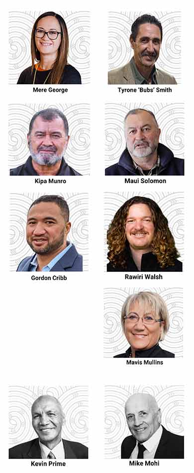 taumata-o-nga-whenua-rahui-390.jpg