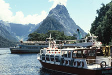 Tourist boats, Milford Sound, Fiordland National Park.