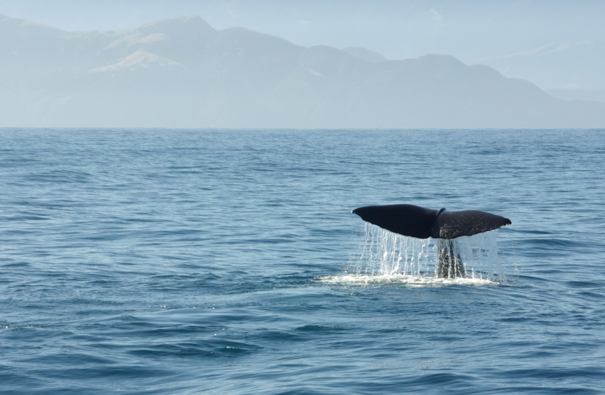 International agreements