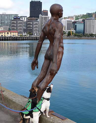 Conservation Dogs with famous wellington statue
